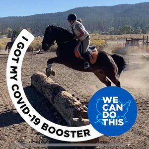 Meet your Posher, Michi